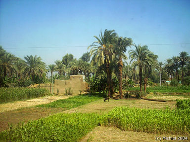 Aswan -> Cairo